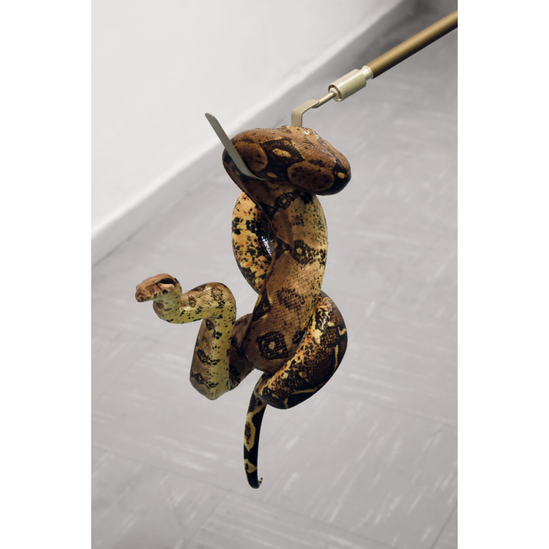 SET DI CATTURA 
RETTILI